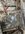 IMG_8101.jpeg