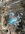 IMG_8102.jpeg