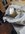 IMG_7406.jpeg