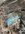 IMG_8105.jpeg