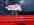 IMG_9633.jpeg