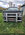 IMG_8607.jpeg