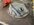 IMG_6197.jpeg