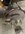 IMG_3132.jpeg