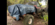 C40F9302-6F44-4A59-B5EF-8A1C6C736B62.png