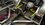 IMG_6308.jpeg