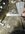 IMG_2443.jpeg