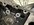 IMG_2436.jpeg