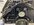IMG_2435.jpeg