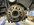 IMG_2437.jpeg