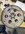 IMG_2440.jpeg