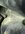 IMG_0043.jpeg