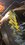 .019 shim1a.jpg