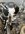 IMG_1221.jpeg