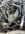 IMG_1050.jpeg