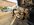 IMG_5051.jpeg