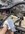IMG_3751.jpeg