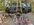 IMG_3813.jpeg