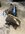IMG_9826.jpeg