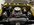IMG_6352.jpeg