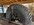 IMG_2071.jpeg IMG_2071.jpeg
