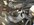 IMG_6410.jpeg