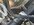 IMG_6411.jpeg