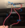 1699833527928.png
