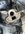 IMG_5787.jpeg
