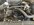 IMG_8834.jpeg IMG_8834.jpeg