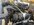 IMG_8835.jpeg IMG_8835.jpeg