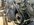 IMG_8838.jpeg IMG_8838.jpeg