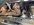 IMG_8837.jpeg IMG_8837.jpeg
