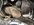 IMG_8828.jpeg IMG_8828.jpeg