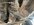 IMG_8829.jpeg IMG_8829.jpeg