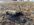 FB_IMG_1699932535683.jpg