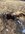 FB_IMG_1699932544876.jpg