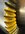 IMG_0373.jpeg