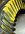 IMG_0377.jpeg