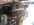 IMG_3087.jpeg