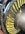 IMG_0419.jpeg