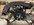 IMG_5496.jpeg