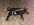 IMG_0834.jpeg