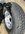 IMG_6225.jpeg