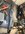IMG_6619.jpeg