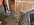 IMG_5080.jpeg