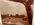 IMG_5131.jpeg
