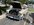 IMG_5488.jpeg
