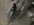 IMG_5873.jpeg