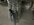 IMG_5874.jpeg